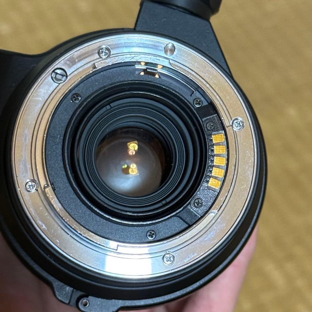 レンズ(ズーム) SIGMA APO 170-500mm 1:5-6.3