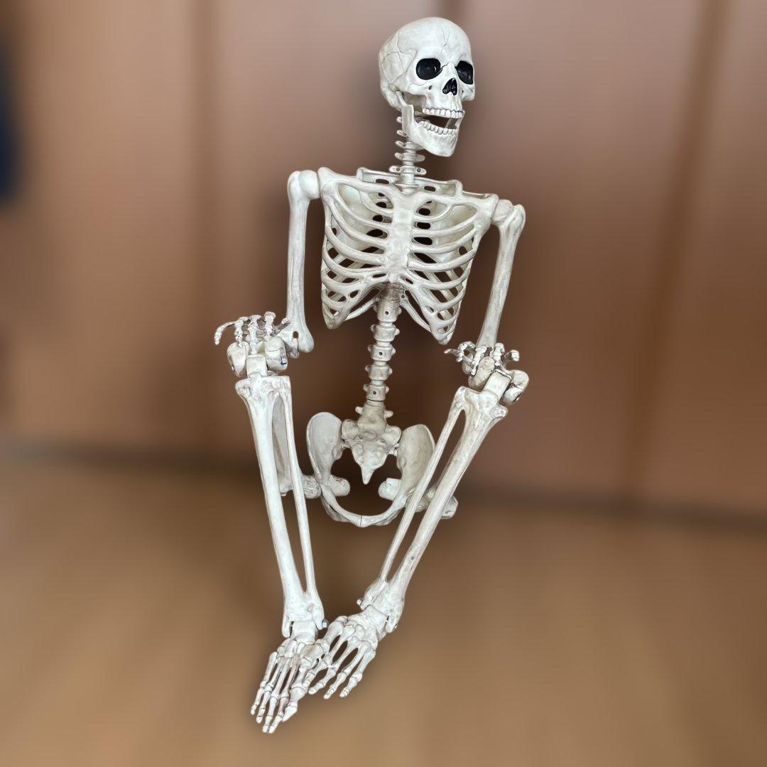 等身大ガイコツフィギュア