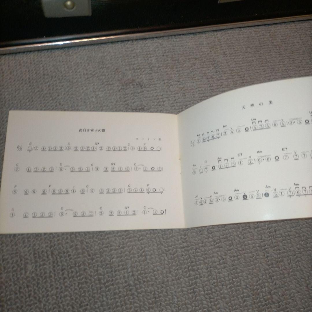 昭和レトロ 琴 ケース付き ピーコックハープ 人力車 花柄 大正琴 和楽器