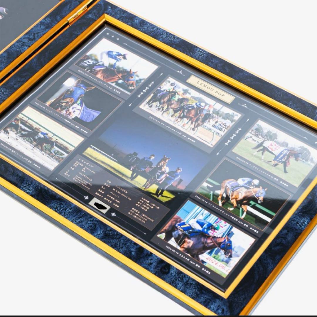 70%OFF【数量限定】レモンポップ引退記念写真デザインパネル