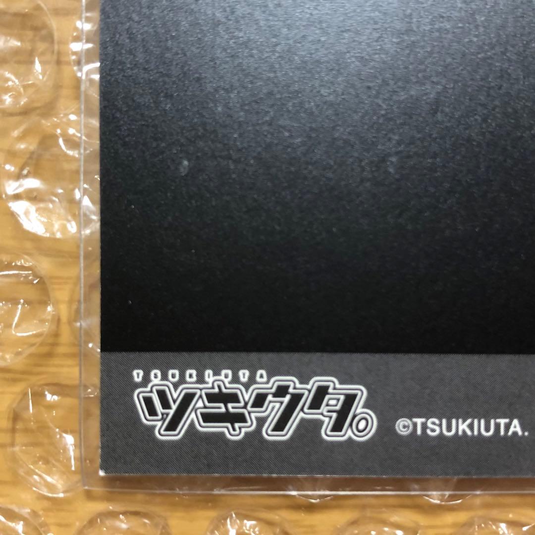ツキウタ ぱしゃこれ 文月海 直筆サイン メッセージあり