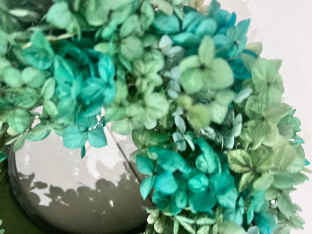 アナベルクリスマスリース