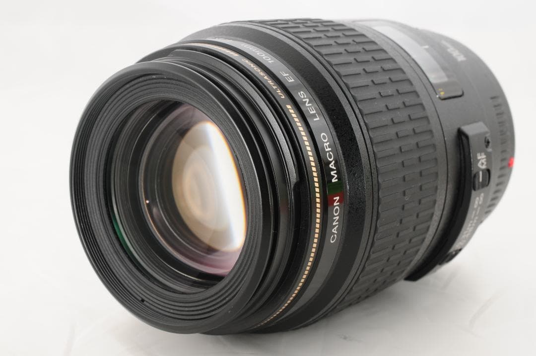 【❄中望遠マクロレンズ】Canon EF 100mm F2.8 USM オマケ多