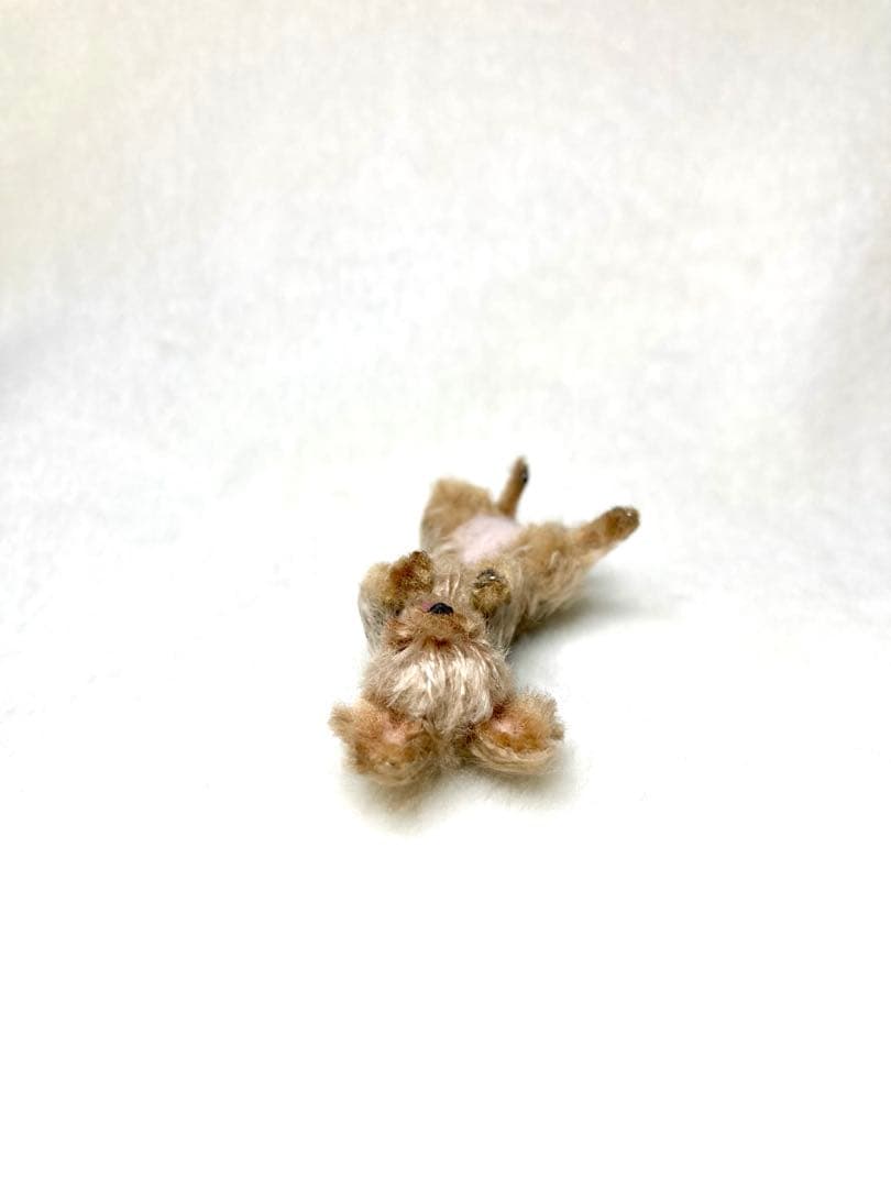 モールアート☆ヨーキー☆へそてん