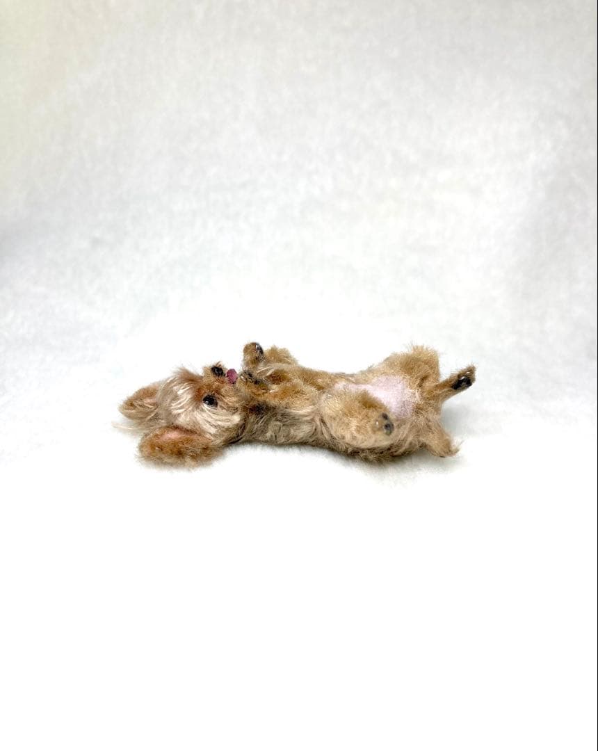 モールアート☆ヨーキー☆へそてん