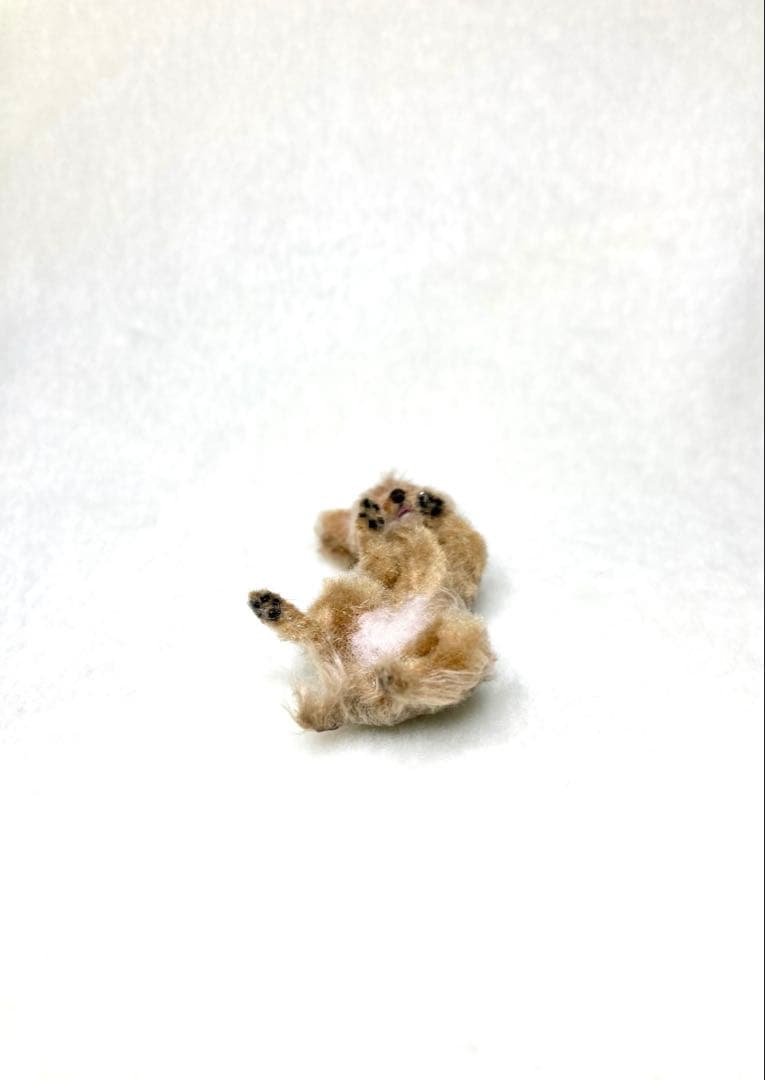 モールアート☆ヨーキー☆へそてん