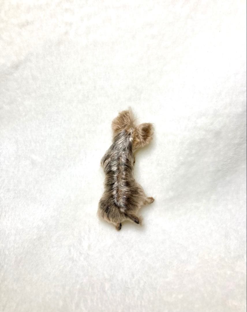 モールアート☆ヨーキー☆へそてん