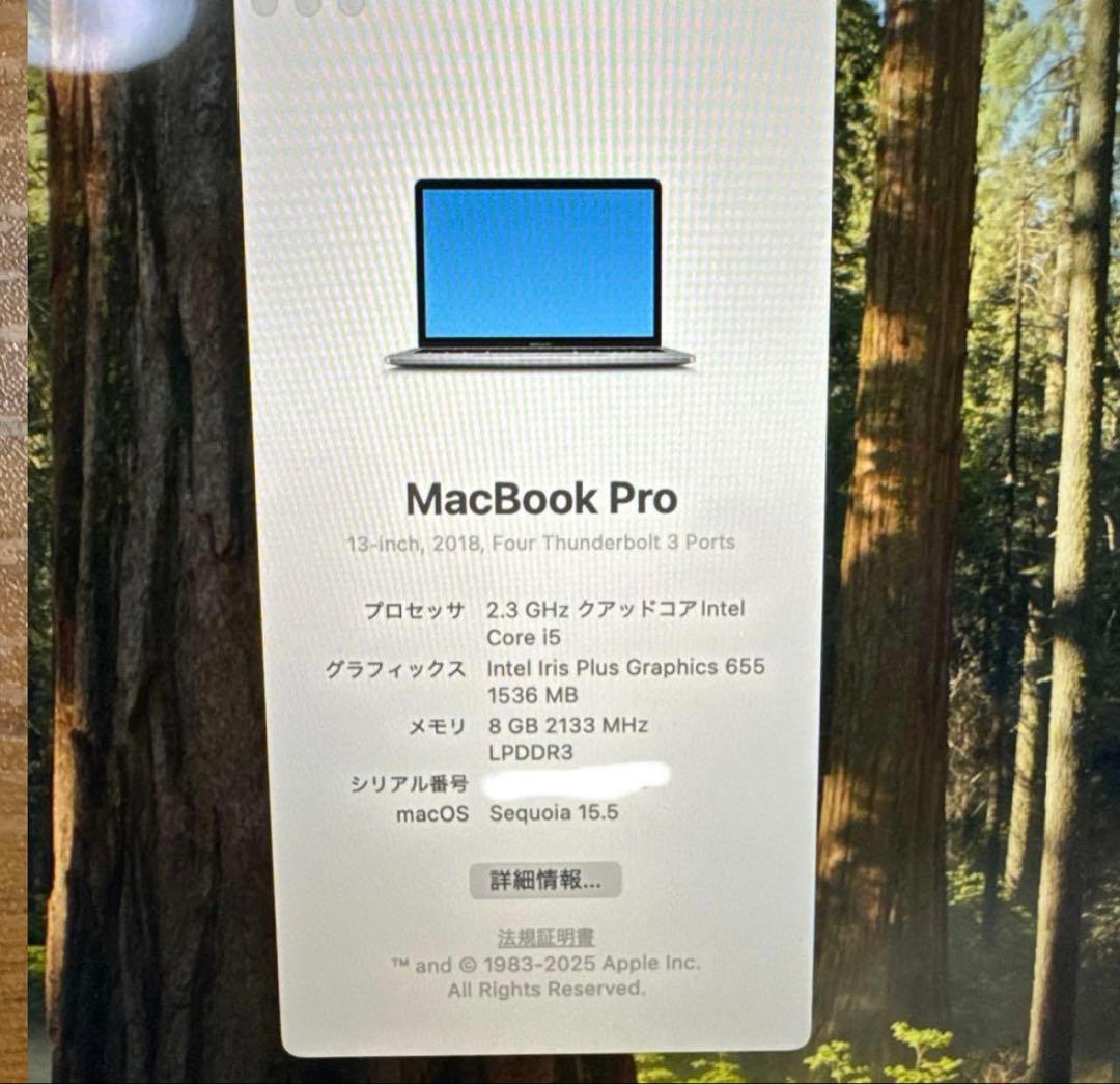 Apple MacBook シルバー 小さな傷あり