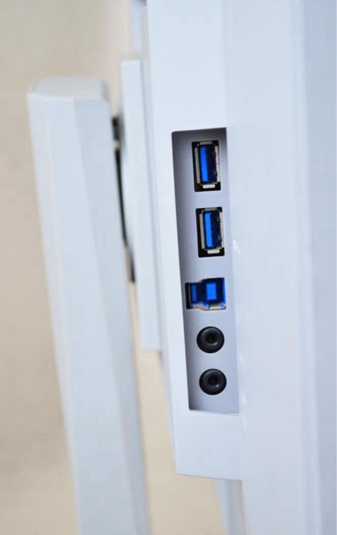 2台　EIZO　EV2450　24型　HDMI　IPS　スピーカー