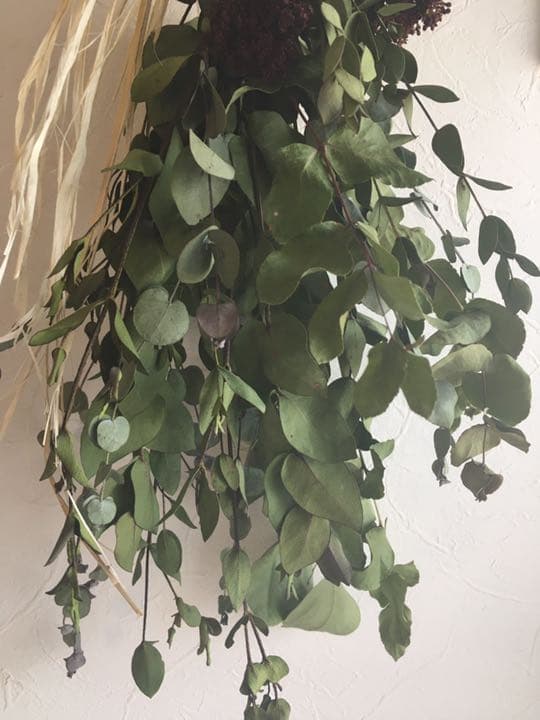 ユーカリ　ビバーナム⑤  ドライフラワー　42cm