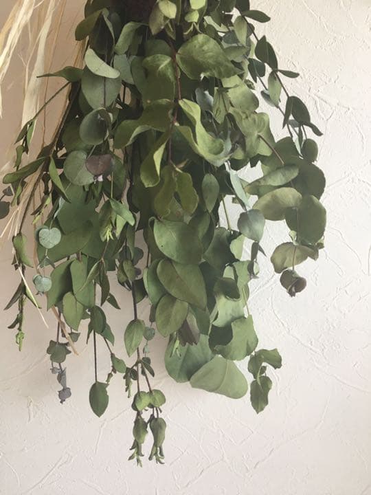 ユーカリ　ビバーナム⑤  ドライフラワー　42cm