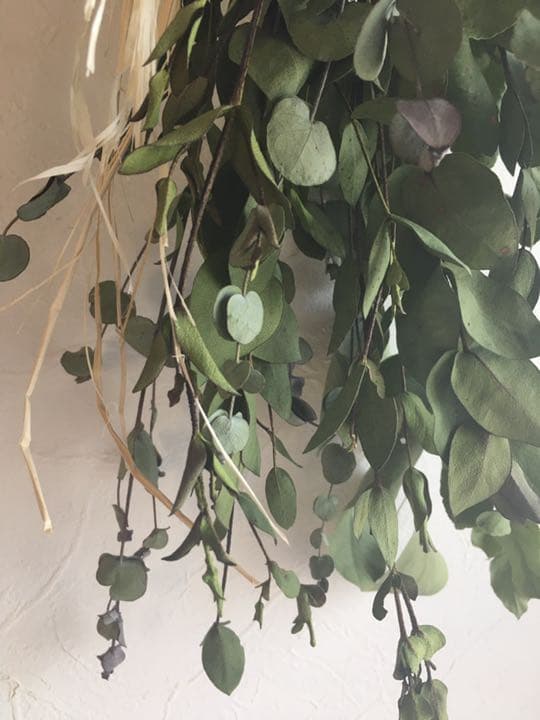 ユーカリ　ビバーナム⑤  ドライフラワー　42cm