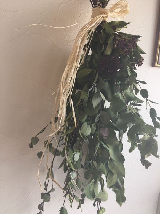 ユーカリ　ビバーナム⑤  ドライフラワー　42cm