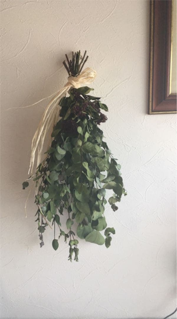 ユーカリ　ビバーナム⑤  ドライフラワー　42cm