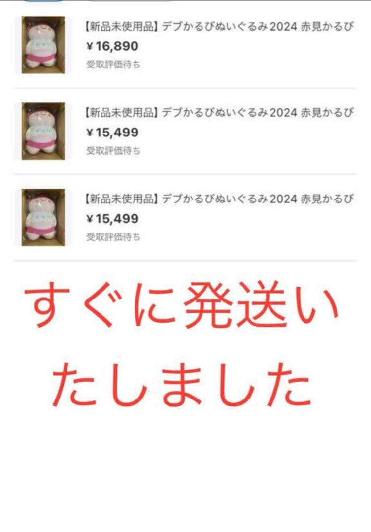 【新品未使用品】デブかるびぬいぐるみ2024 赤見かるび　1個