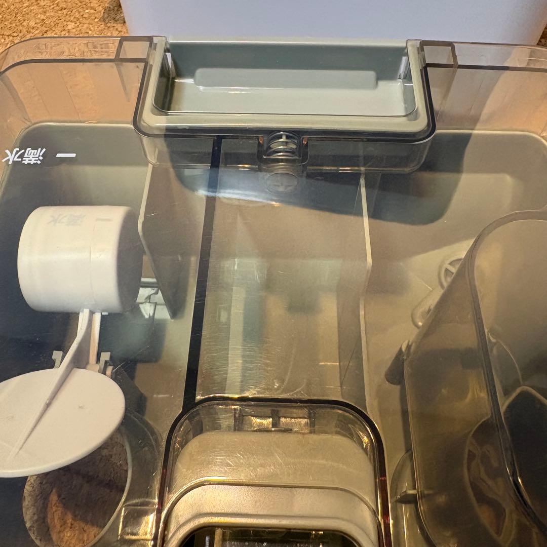 【美品】IRIS OHYAMA リンサークリーナ　RNS-300 2020年製