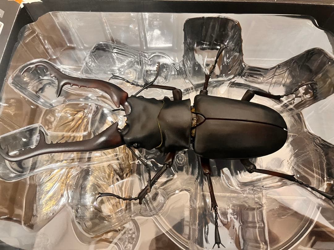 いきもの大図鑑 プレミアム ギラファノコギリクワガタ 中古