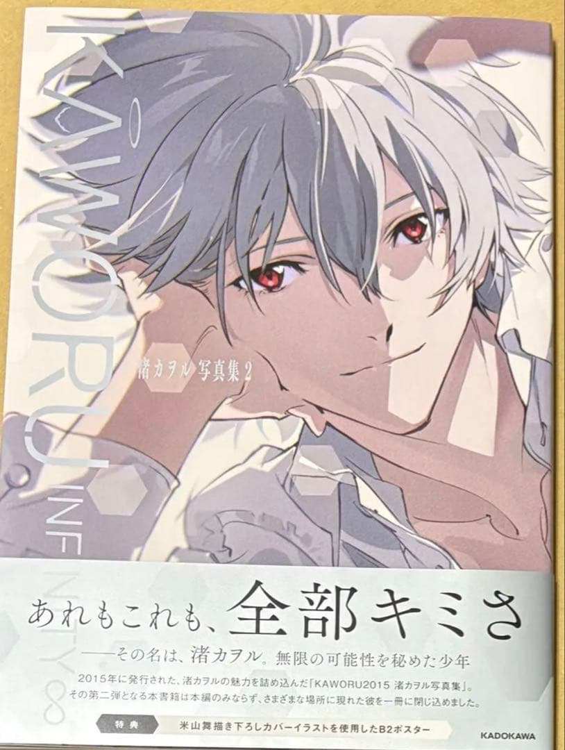 渚カヲル写真集2 とらのあな アクリルスタンド　有償特典　イラストカード