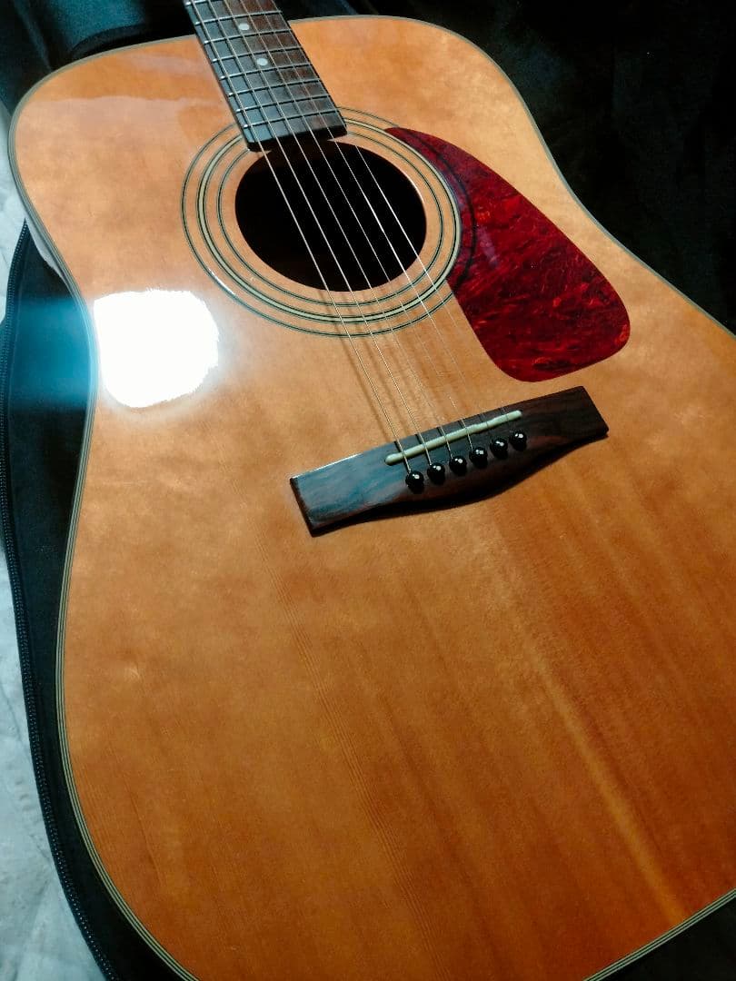 Fender トップ単 韓国製 DG-21S ドレッドノート