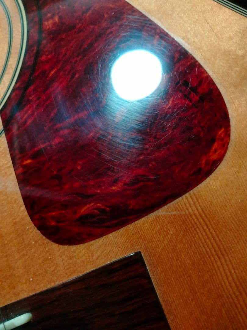 Fender トップ単 韓国製 DG-21S ドレッドノート