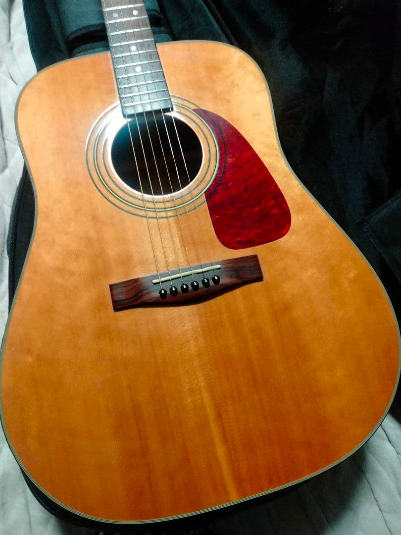 Fender トップ単 韓国製 DG-21S ドレッドノート