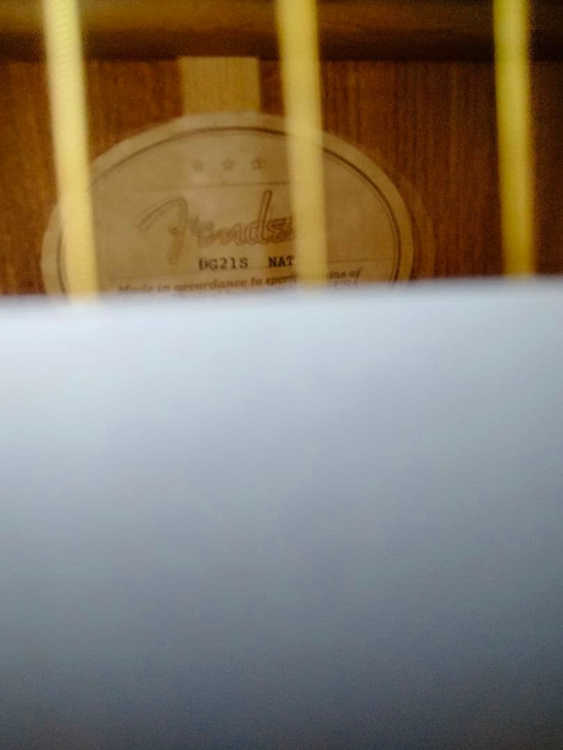 Fender トップ単 韓国製 DG-21S ドレッドノート