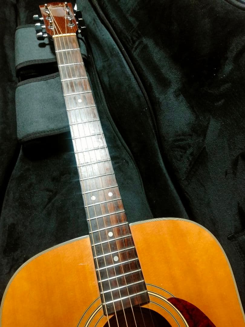 Fender トップ単 韓国製 DG-21S ドレッドノート