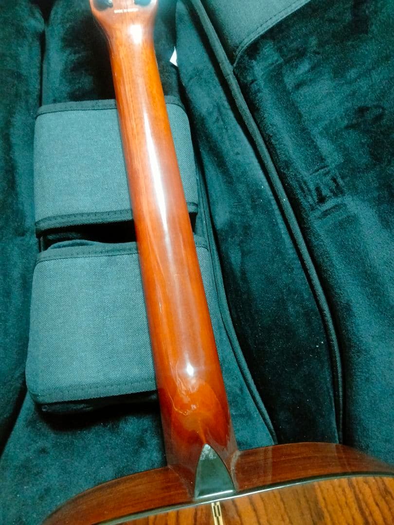 Fender トップ単 韓国製 DG-21S ドレッドノート