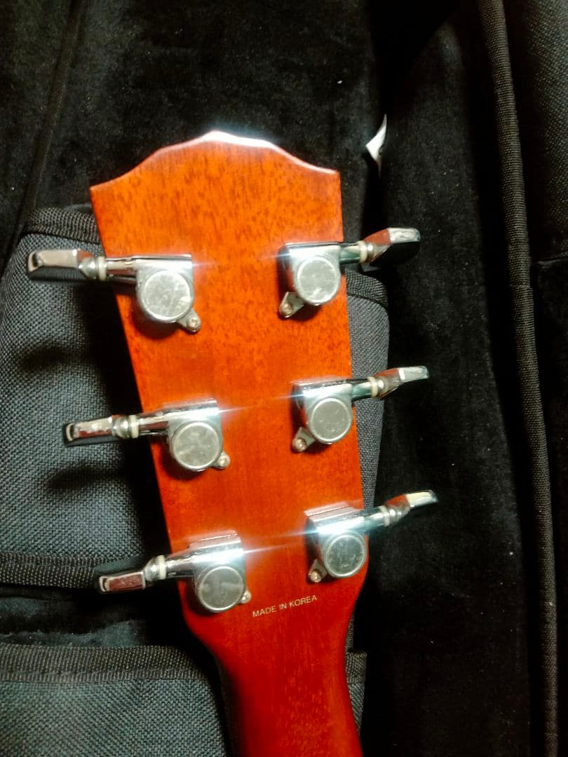 Fender トップ単 韓国製 DG-21S ドレッドノート