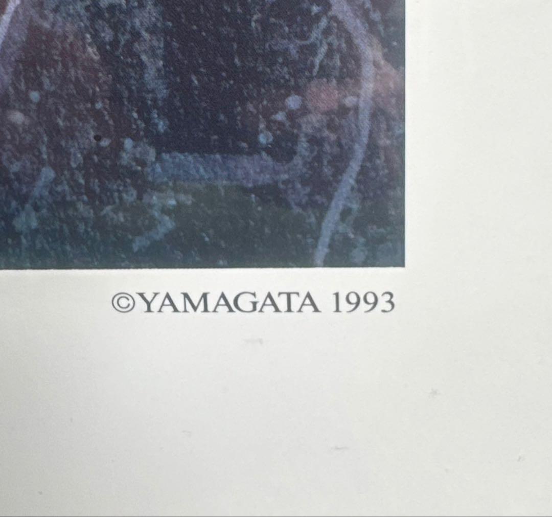 【希少】ヒロ・ヤマガタ「ベニスマガジン」額装 アートポスター