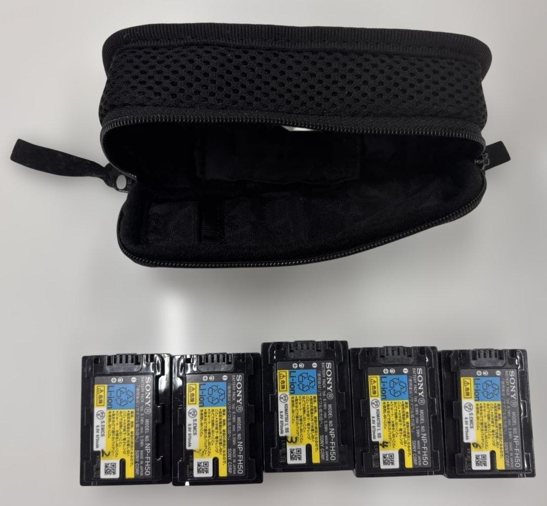 SONY ソニー ハンディカム HDR-TG5V 2009年製