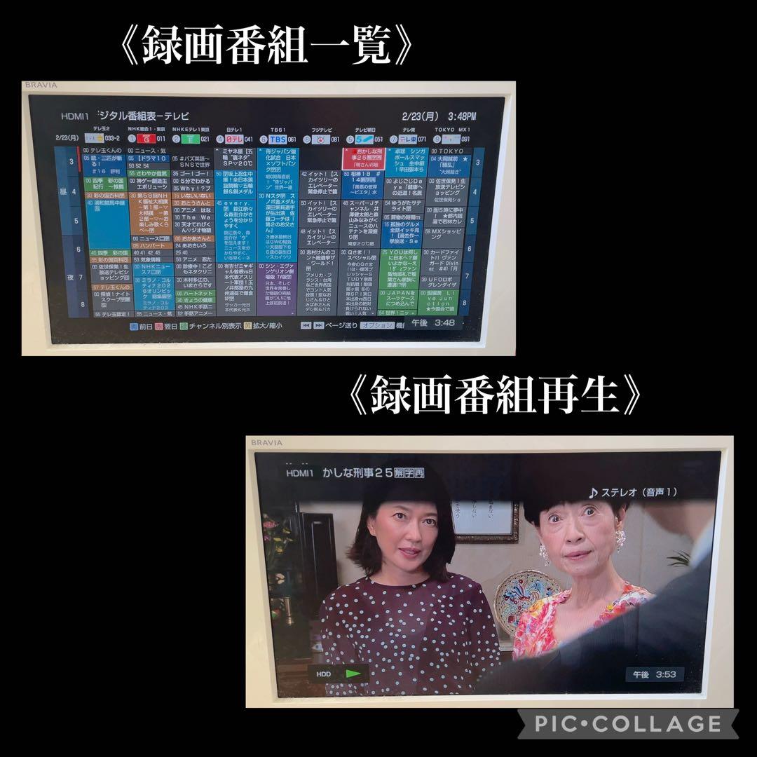 SONY BDZ-E520 Blu-rayレコーダー 500GB