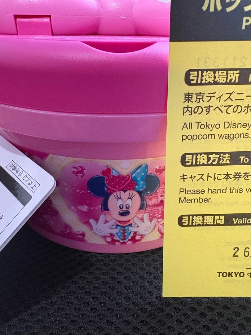 ディズニー　ミニーのファンダーランド　ポップコーンバケット　新品　引換券付き