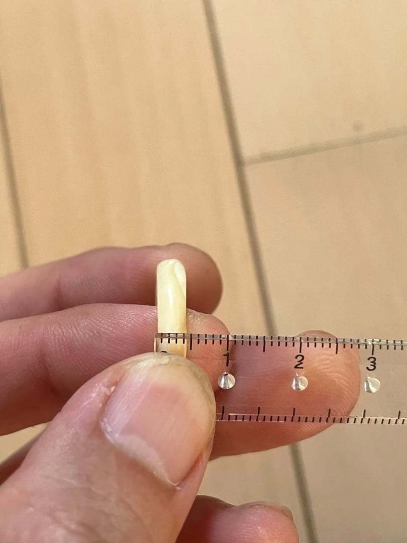 鯨歯リング　18〜18.2号 マッコウ　抹香鯨　印材　根付け　ボーンカービング