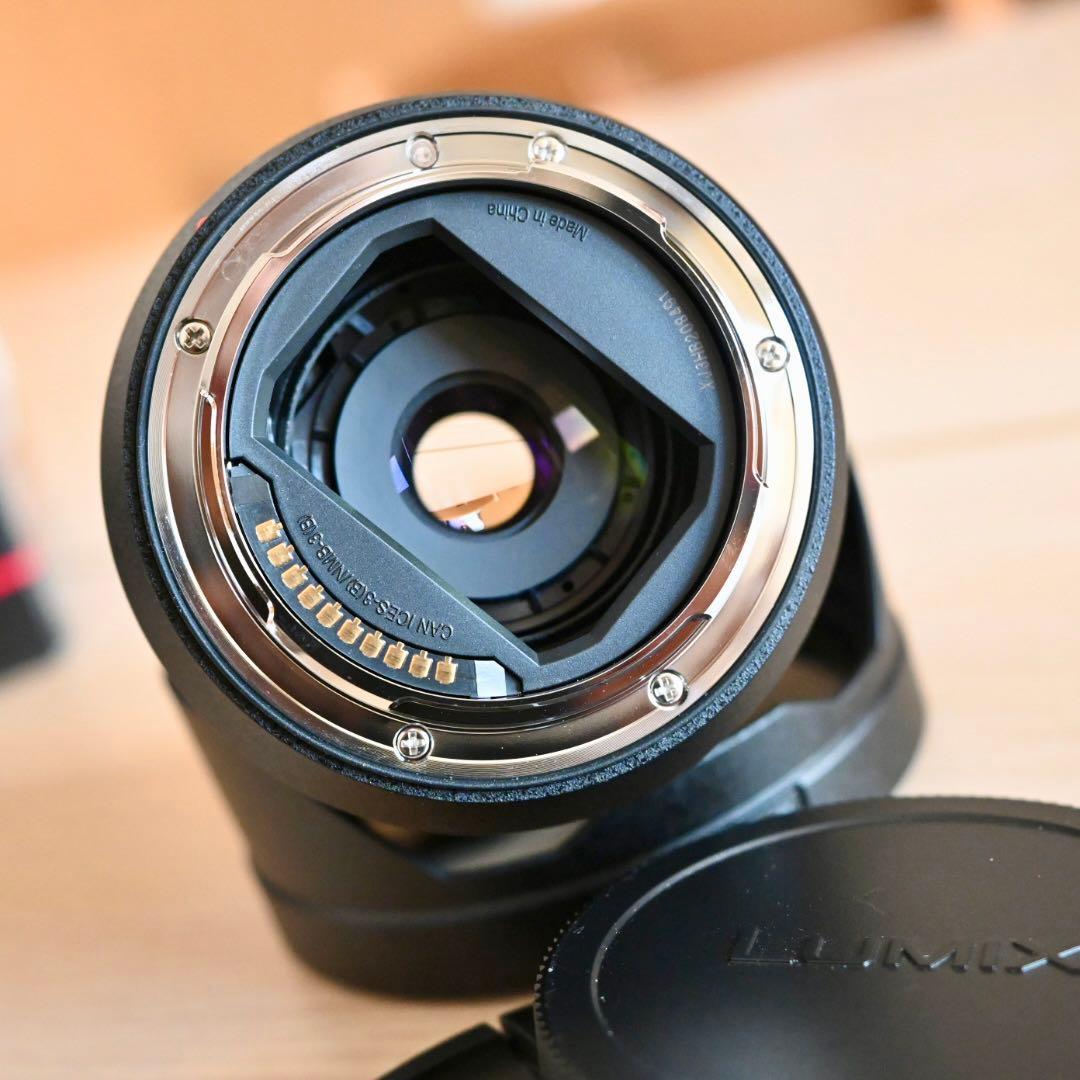 LUMIX S 20-60mm 標準ズームレンズ　S-R2060