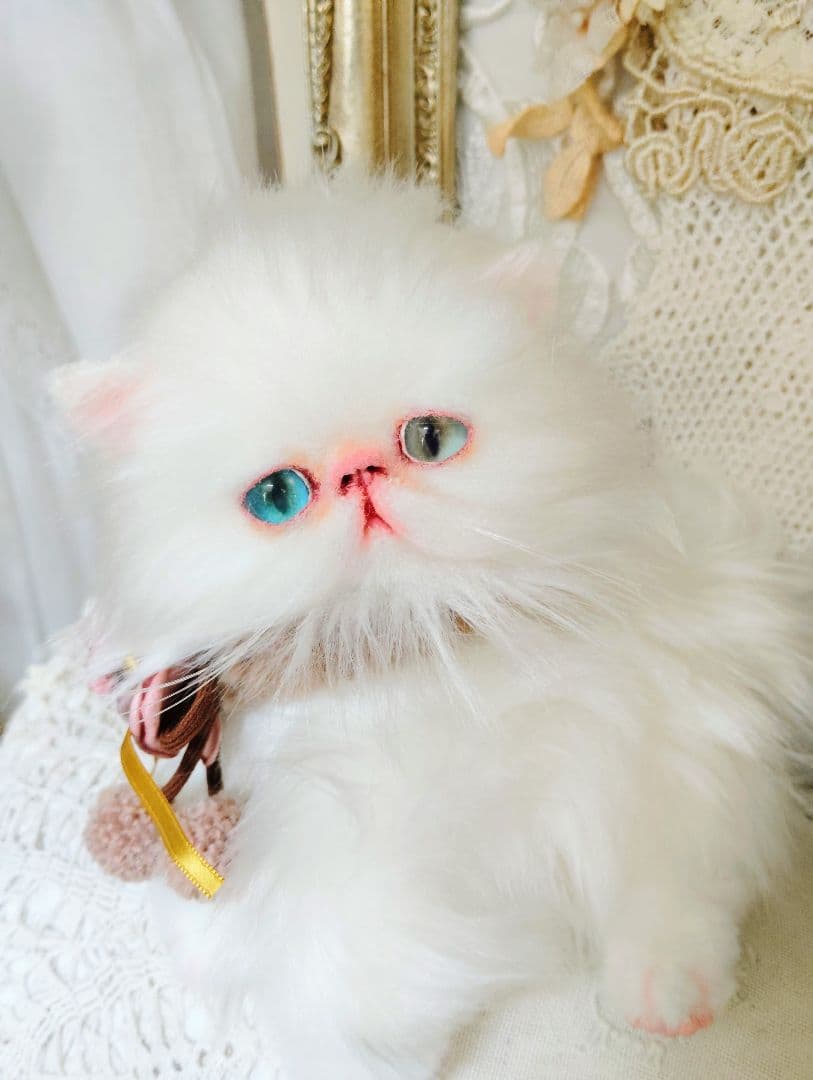 生後１か月♡オッドアイ♡エキゾチック子猫ちゃん♡アートドール♡ぬいぐるみ♡