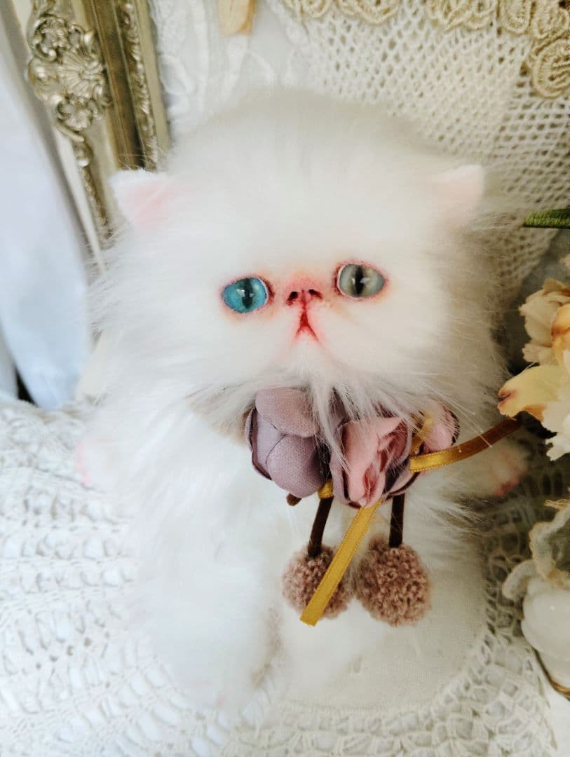 生後１か月♡オッドアイ♡エキゾチック子猫ちゃん♡アートドール♡ぬいぐるみ♡