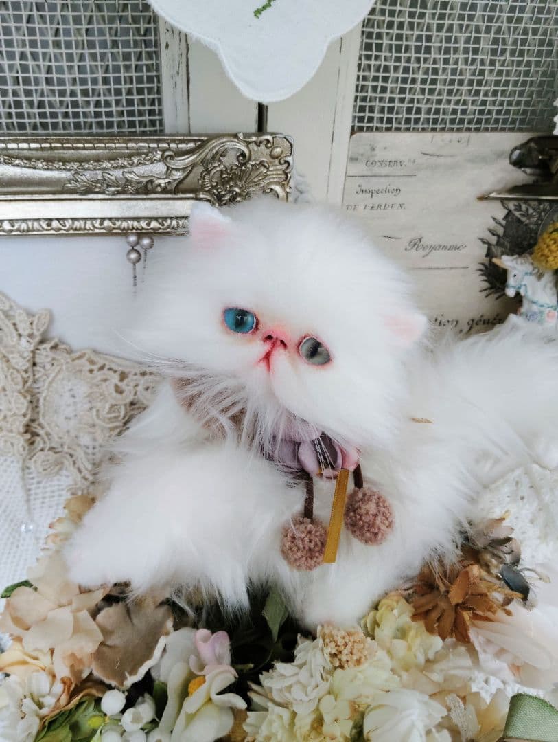 生後１か月♡オッドアイ♡エキゾチック子猫ちゃん♡アートドール♡ぬいぐるみ♡