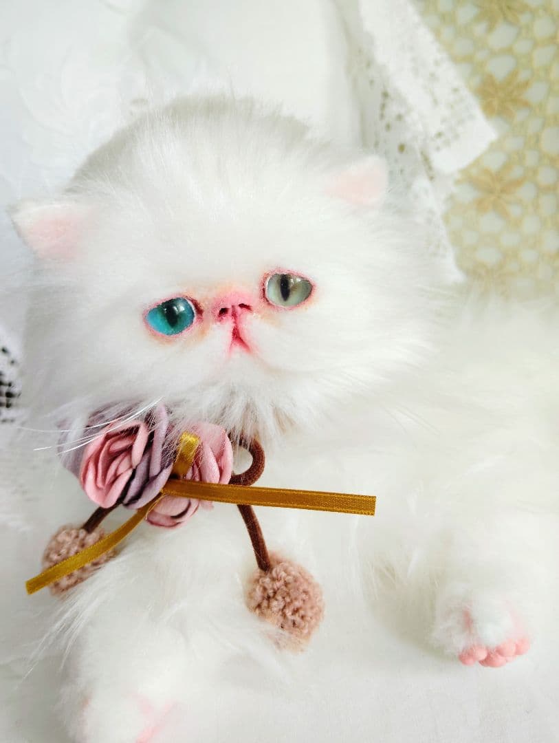 生後１か月♡オッドアイ♡エキゾチック子猫ちゃん♡アートドール♡ぬいぐるみ♡