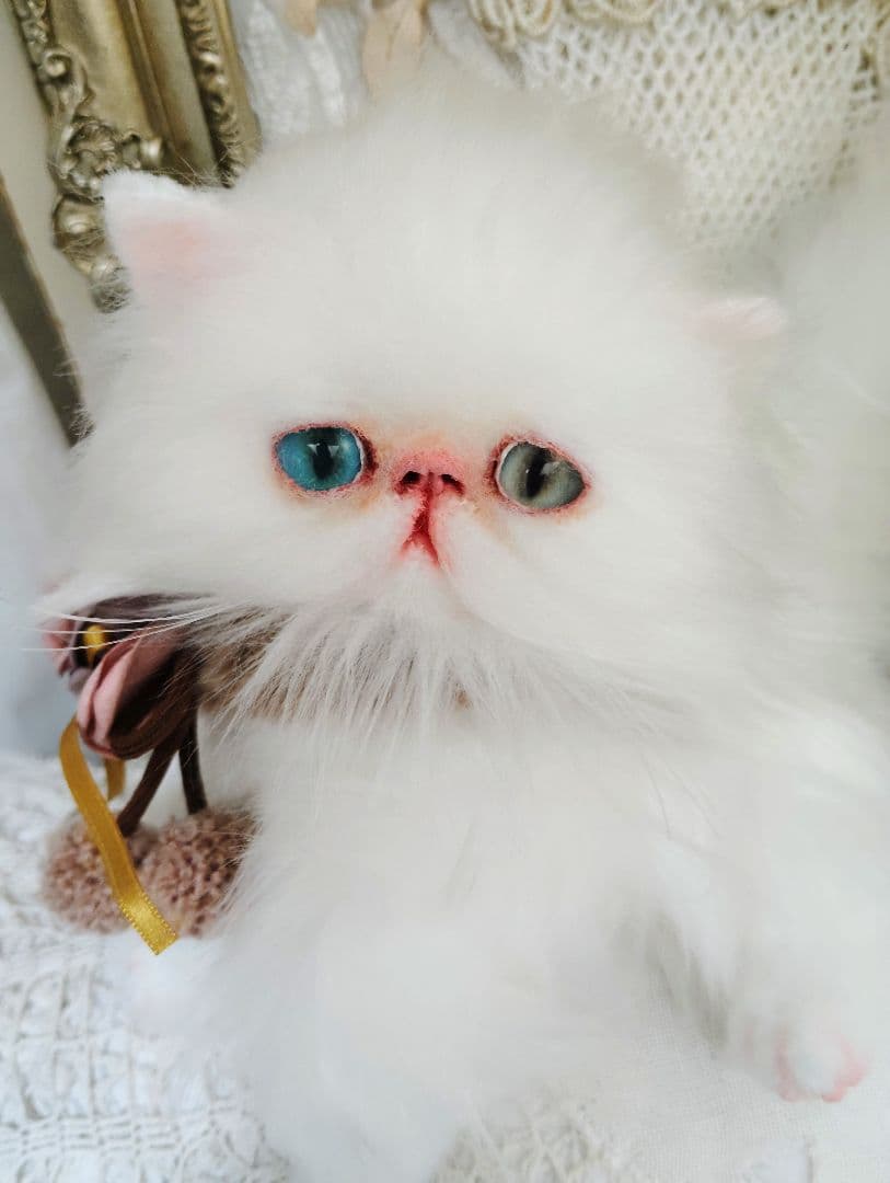 生後１か月♡オッドアイ♡エキゾチック子猫ちゃん♡アートドール♡ぬいぐるみ♡