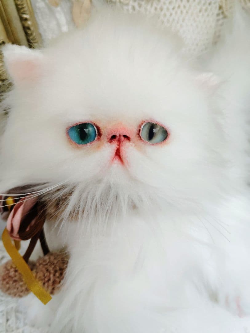 生後１か月♡オッドアイ♡エキゾチック子猫ちゃん♡アートドール♡ぬいぐるみ♡