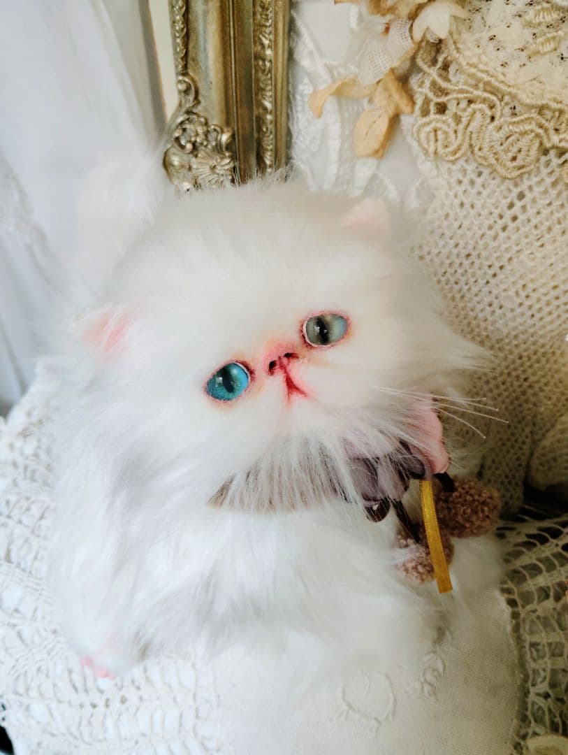生後１か月♡オッドアイ♡エキゾチック子猫ちゃん♡アートドール♡ぬいぐるみ♡