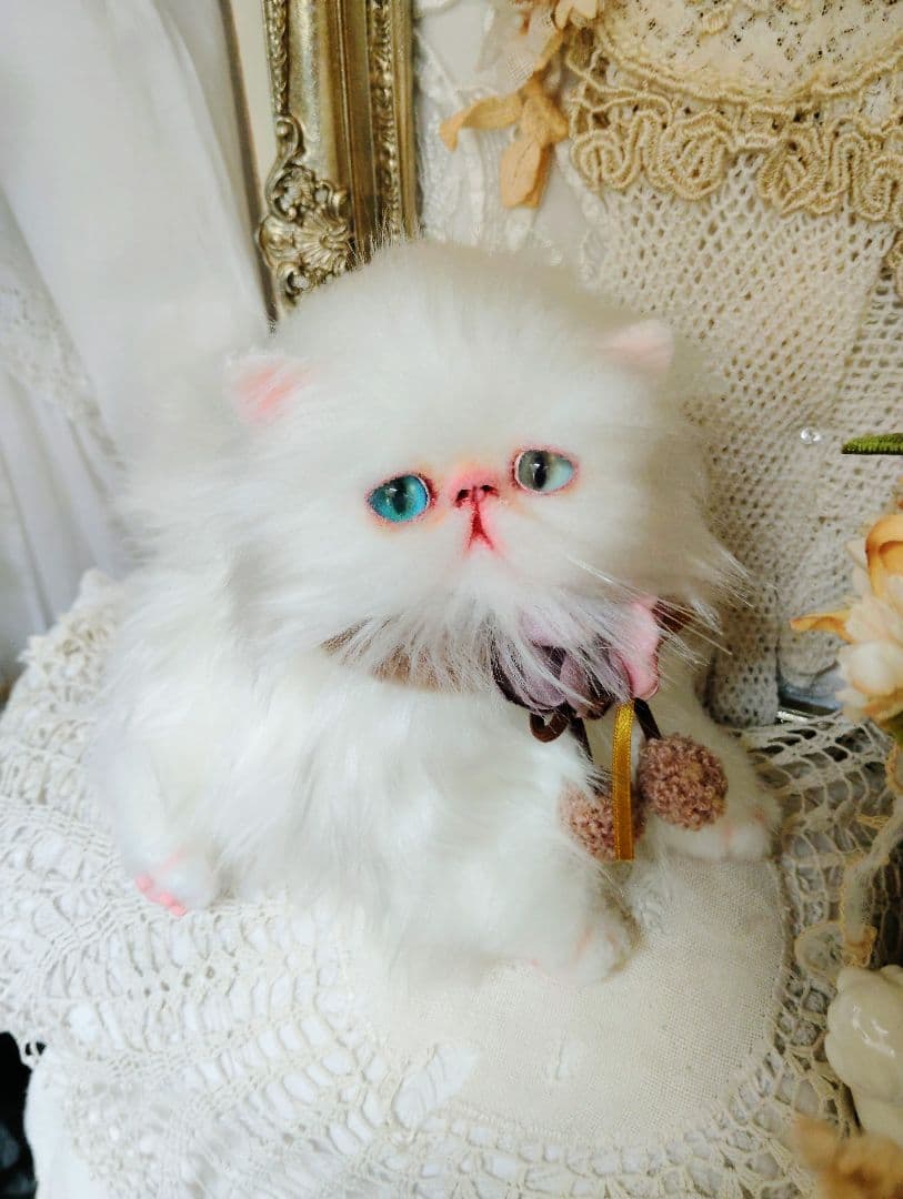 生後１か月♡オッドアイ♡エキゾチック子猫ちゃん♡アートドール♡ぬいぐるみ♡