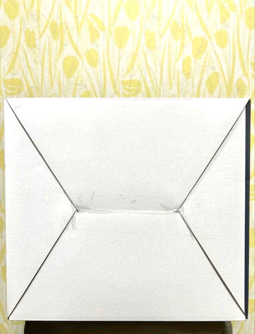 [パスタ　ライ助]一番くじ ワンピース 思い描く未来 C賞 エメト