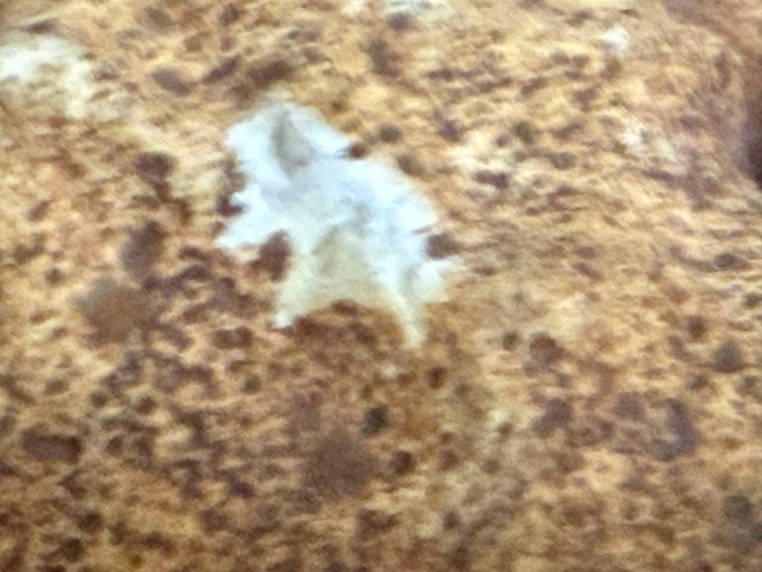 笛さま専用　ボルダーオパール　原石　3743g その他