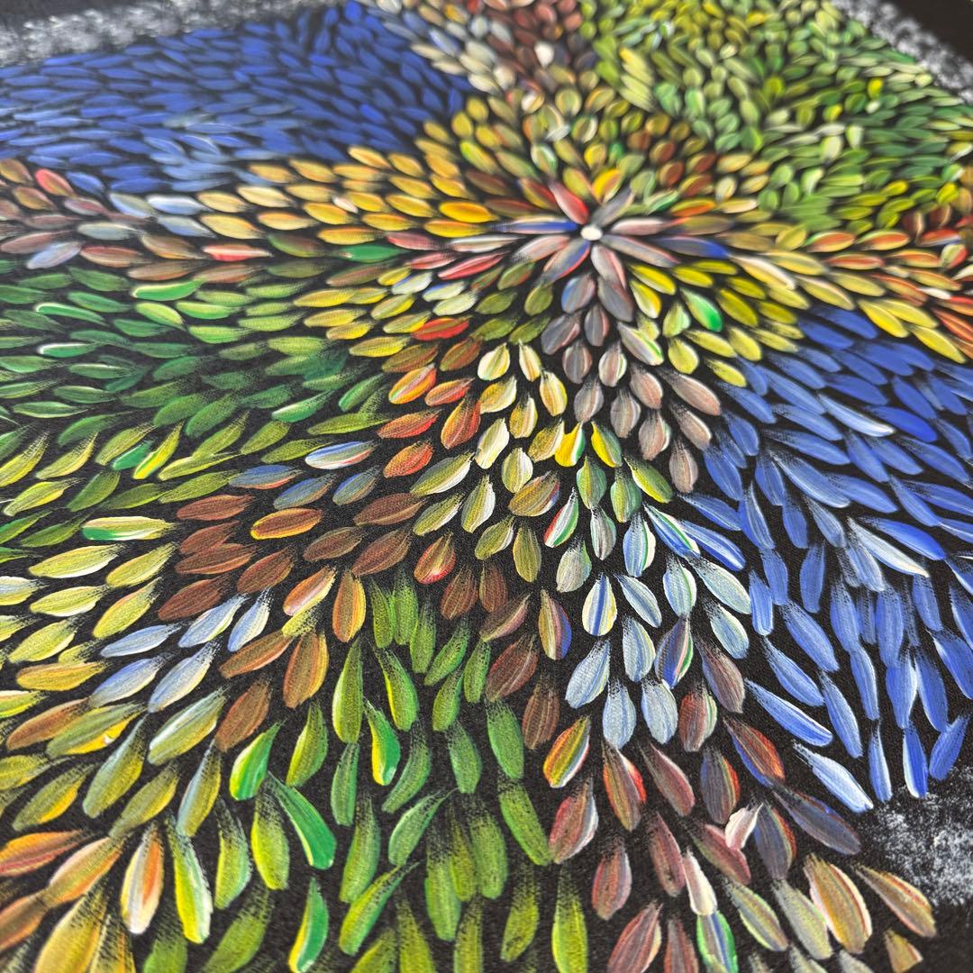 アボリジニ　アート　Sheila Bulla