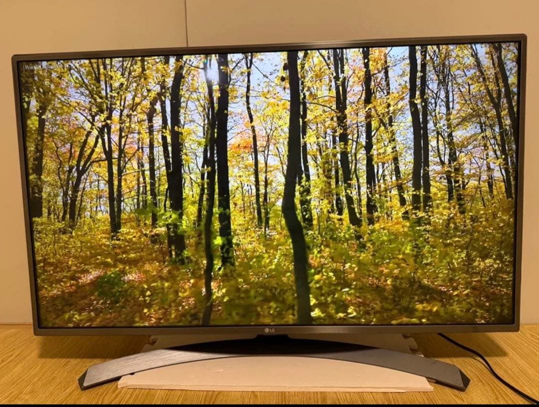 美品LG 43UJ630A 43 インチ　2018年製　⭕️ 4Kネット動画テレビ