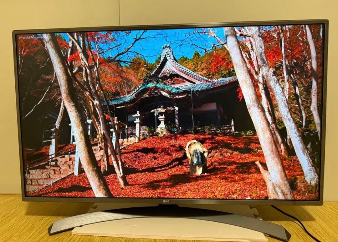 美品LG 43UJ630A 43 インチ　2018年製　⭕️ 4Kネット動画テレビ