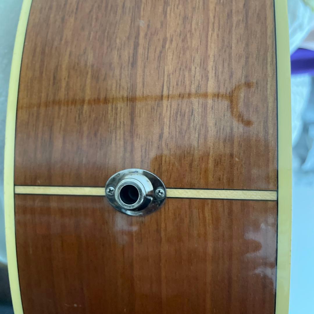 Yamaha Compass Series アコースティックギター