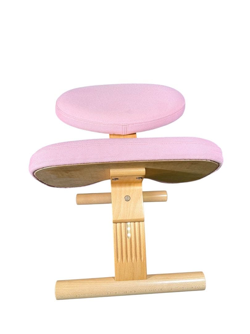 KZ060 SAKAMOTO HOUSE バランスチェア　ピンク系